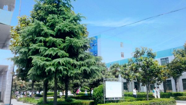 沈丘县第二高级中学