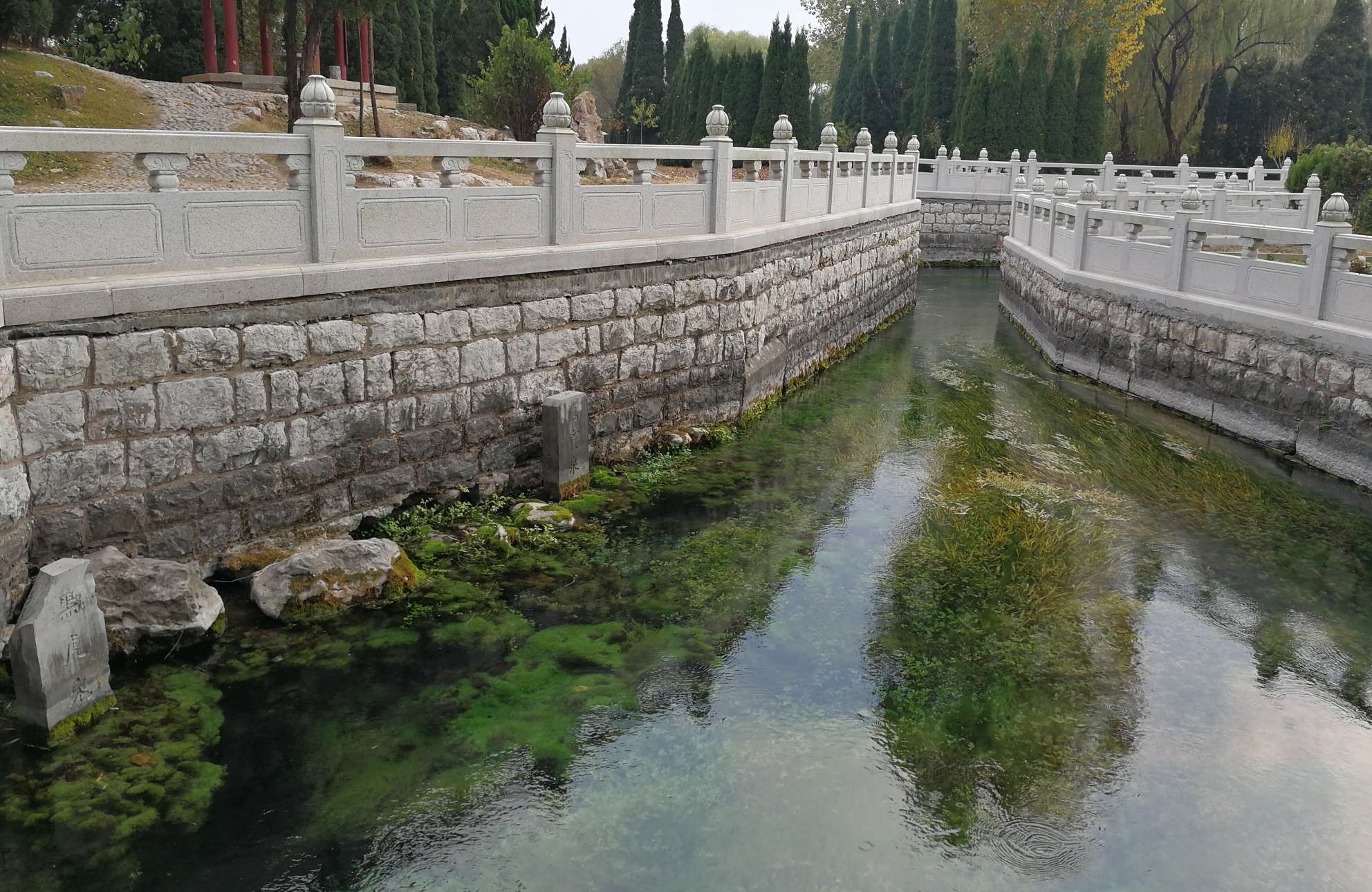  p>泉林泉群,位于山东省泗水县城东泉林村,属于石灰岩裂隙岩上升泉.