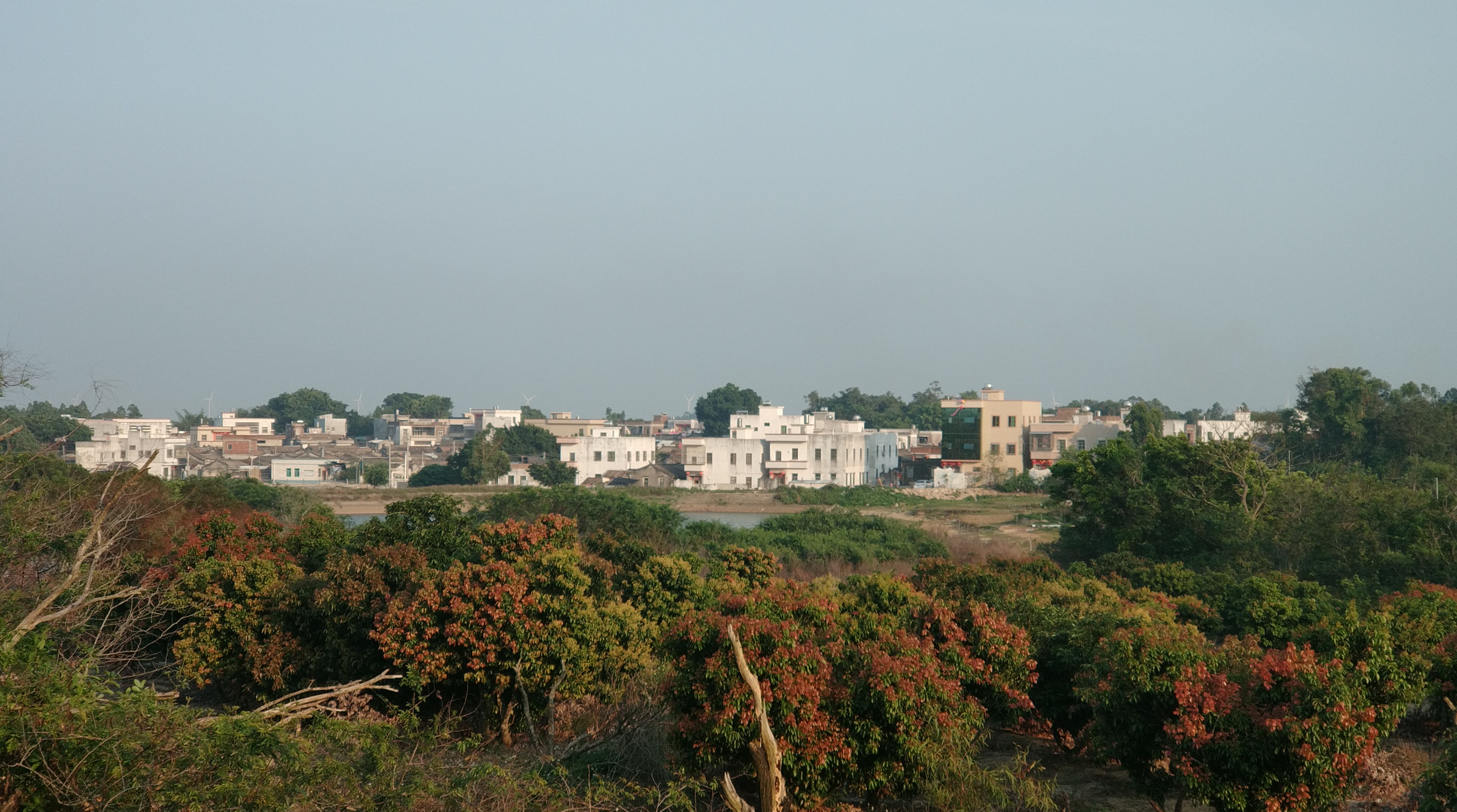 陆丰市湖东镇新洲村