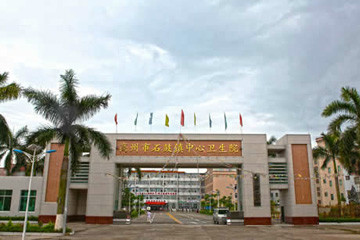 广东省茂名高州市石鼓镇