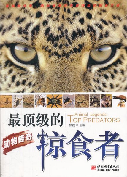 动物传奇:最顶级的掠食者