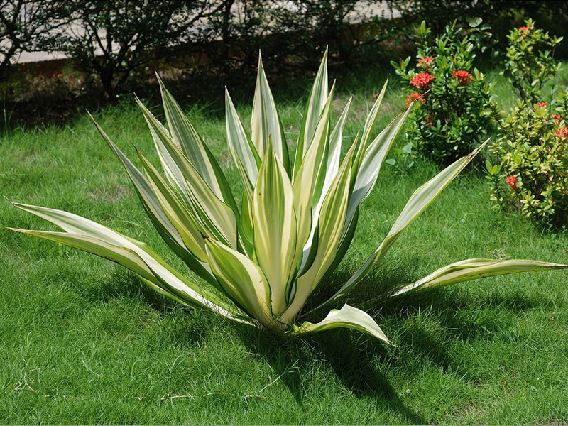  p data-id="tb0gqfrvko0k"> span class="re