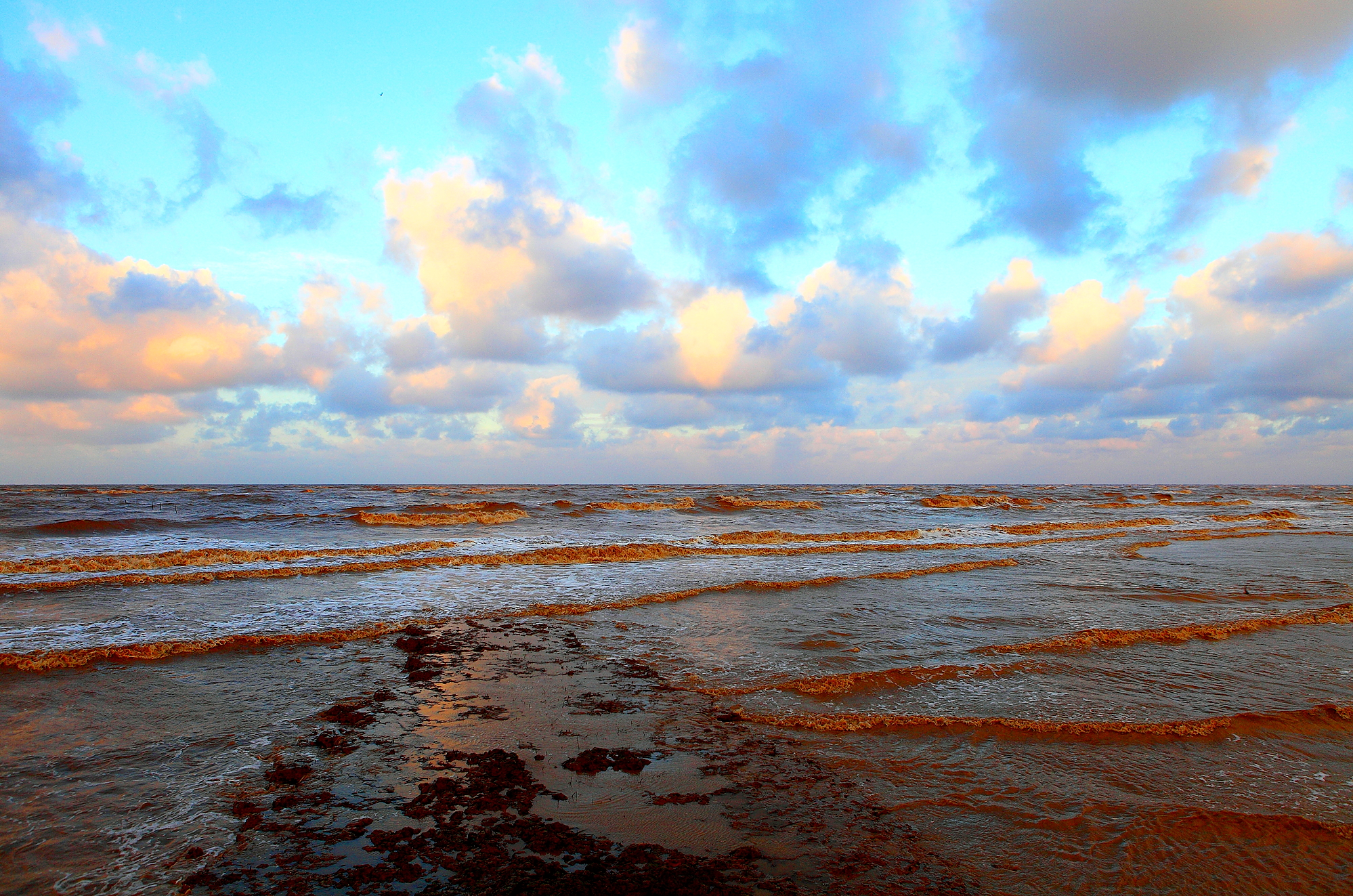  p>江苏盐城保护区(盐城沿海滩涂湿地)地处江淮平原,位于太平洋西海岸