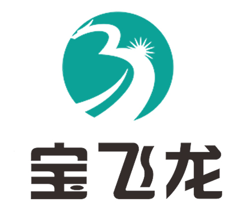 宝飞龙