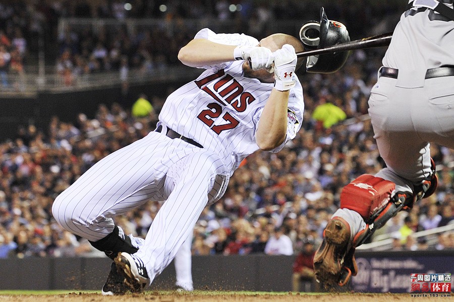 明尼苏达双城队