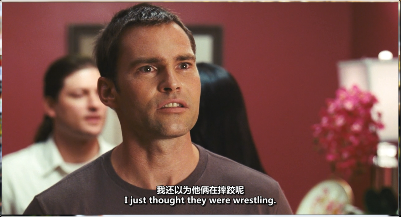 美国派4:美国重逢