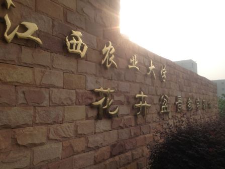 我们在江农等着你