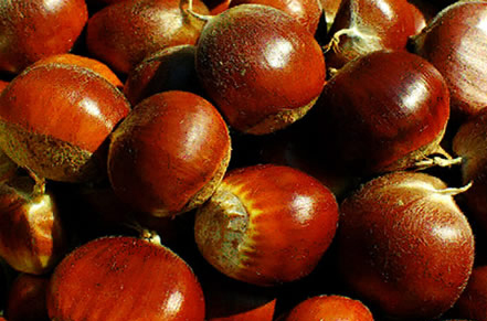 target="_blank" href="/item/东兰县/2391898" data-lemmaid="239189