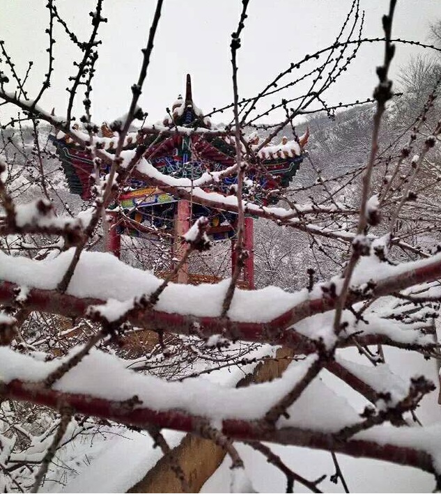  p data-id="gnwlwyt4ow">山西大同西严寺(原名"西岩寺")位于大同市