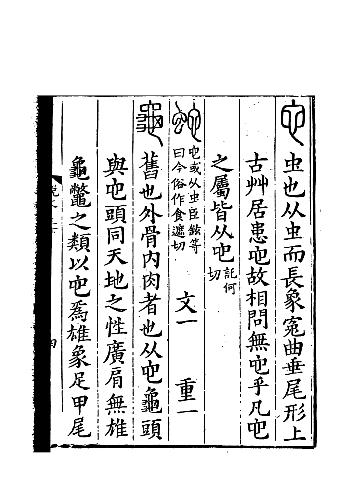 龟（汉语汉字）_百度百科