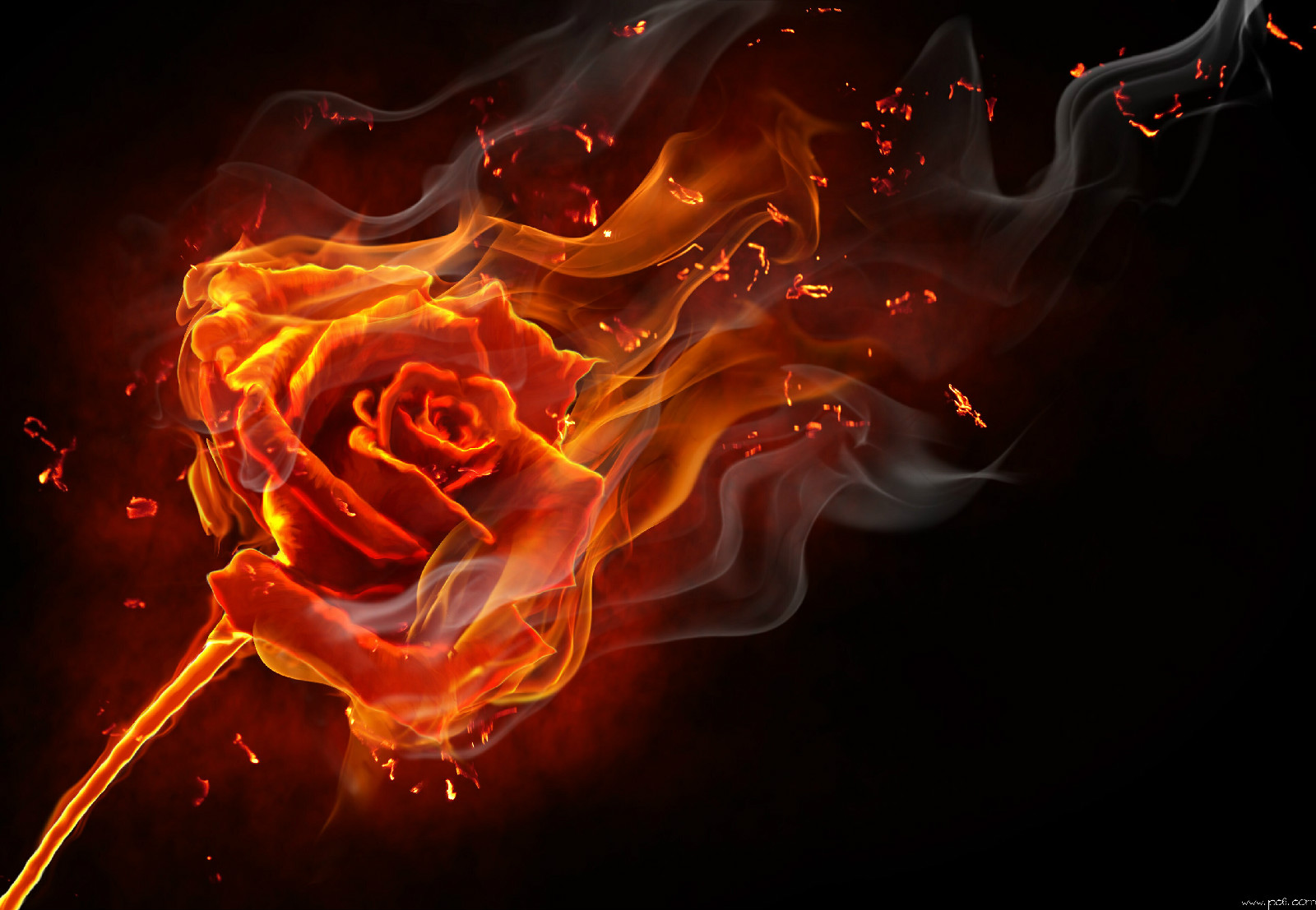  p>《简单遗忘》是由网络作家齐楚云创作的一部网络文学作品,反映了对