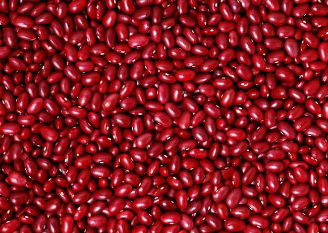  p>赤豆(学名: i>v i>i /i> /i> i>gna angularis   /i>(willd.