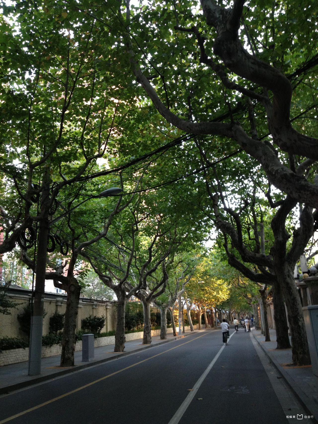 0amofbvr">思南路,位于 a target="_blank" href="/item/上海/114606"