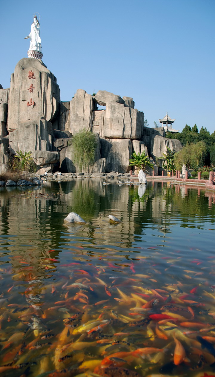 target="_blank" href="/item/颍上县/1613088" data-lemmaid="