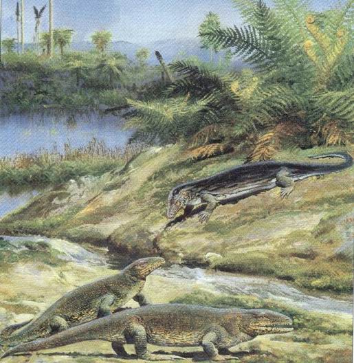 cotylosaurs