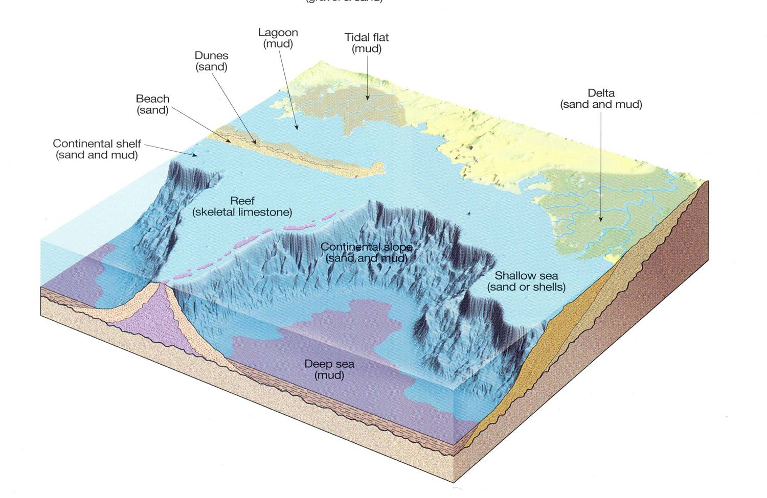  p>沉积体系是指在沉积环境和沉积作用过程方面有成因联系的三维岩相