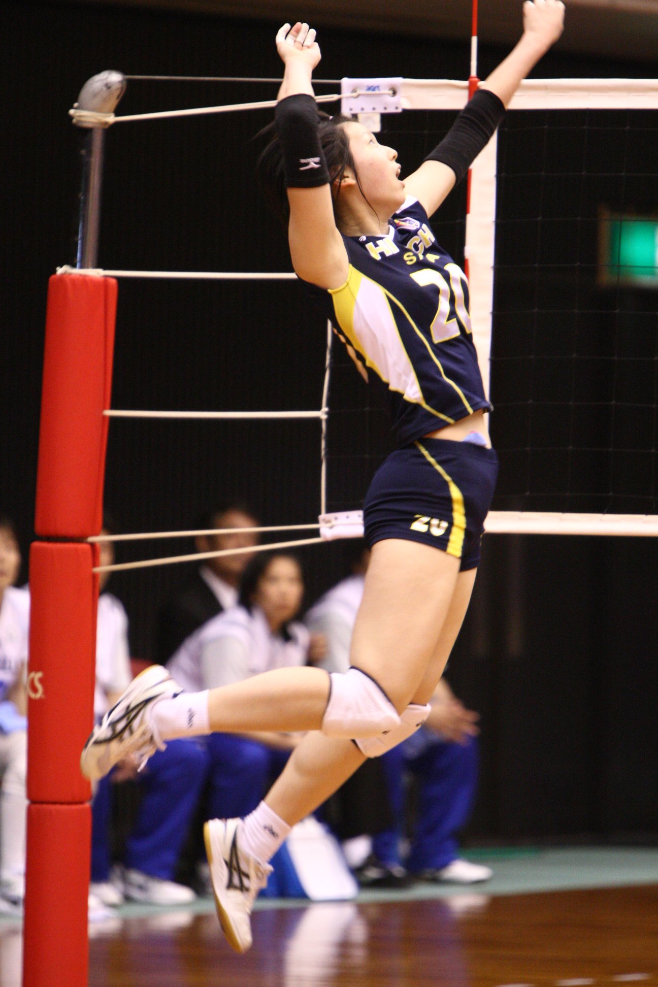 "/item/日本/111617" data-lemmaid="111617">日本 /a>著名排球运动员