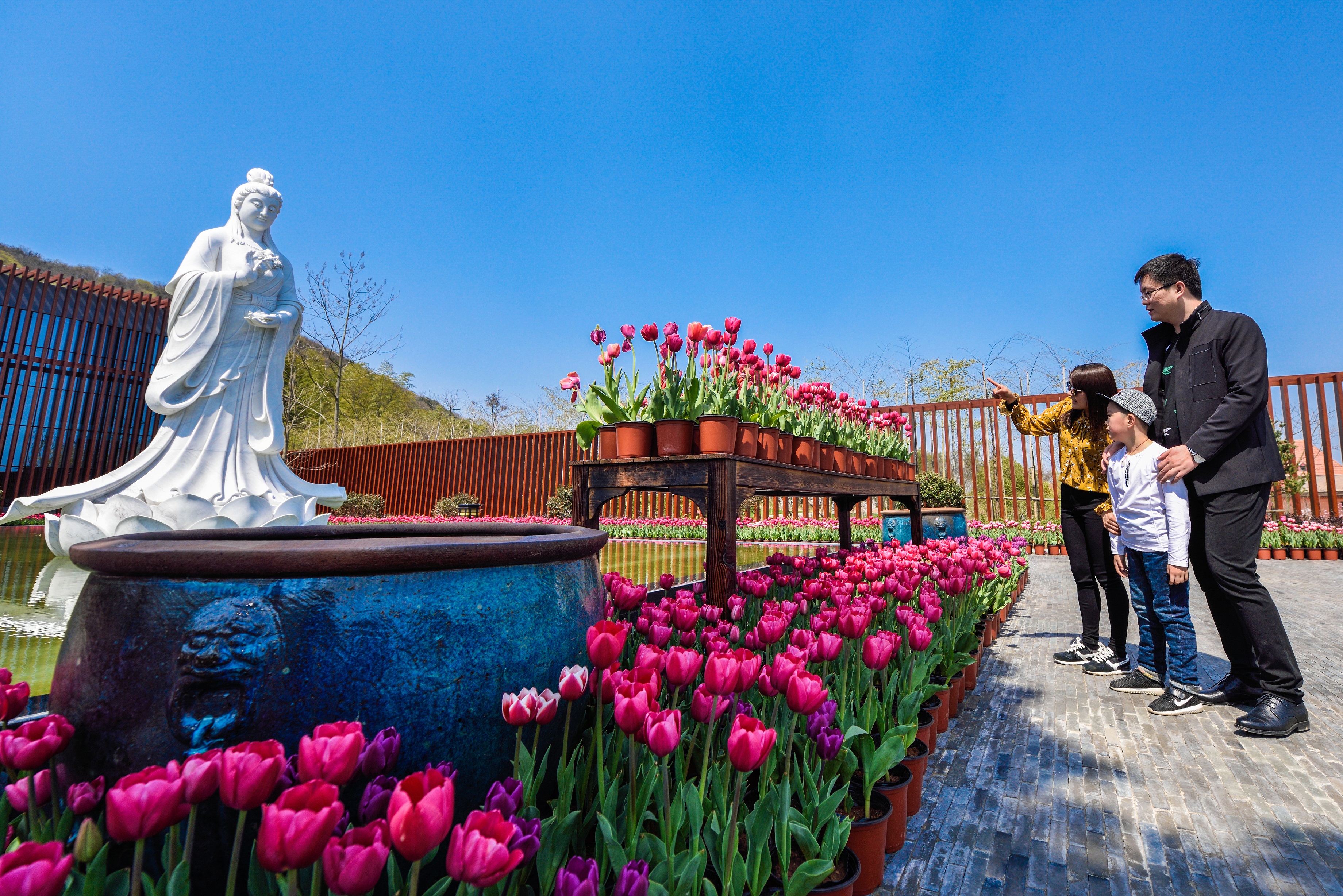 谷奇缘,国家级5a景区茅山脚下的花海小镇,华东地区 "花"主题原创旅游