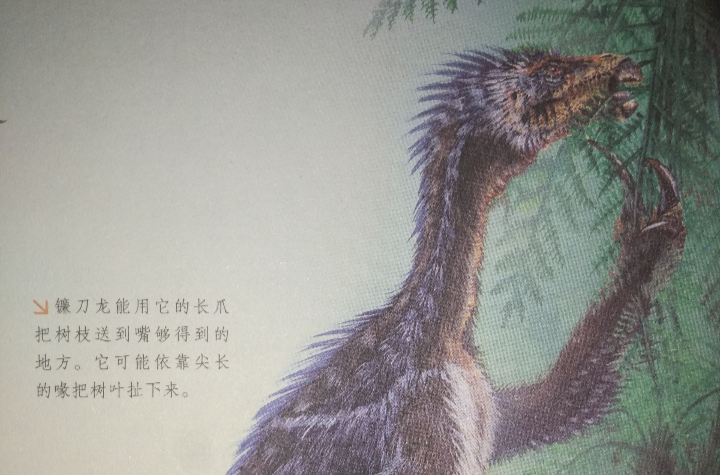 古生物学家认为,镰刀龙是植食性恐龙中一种特化的