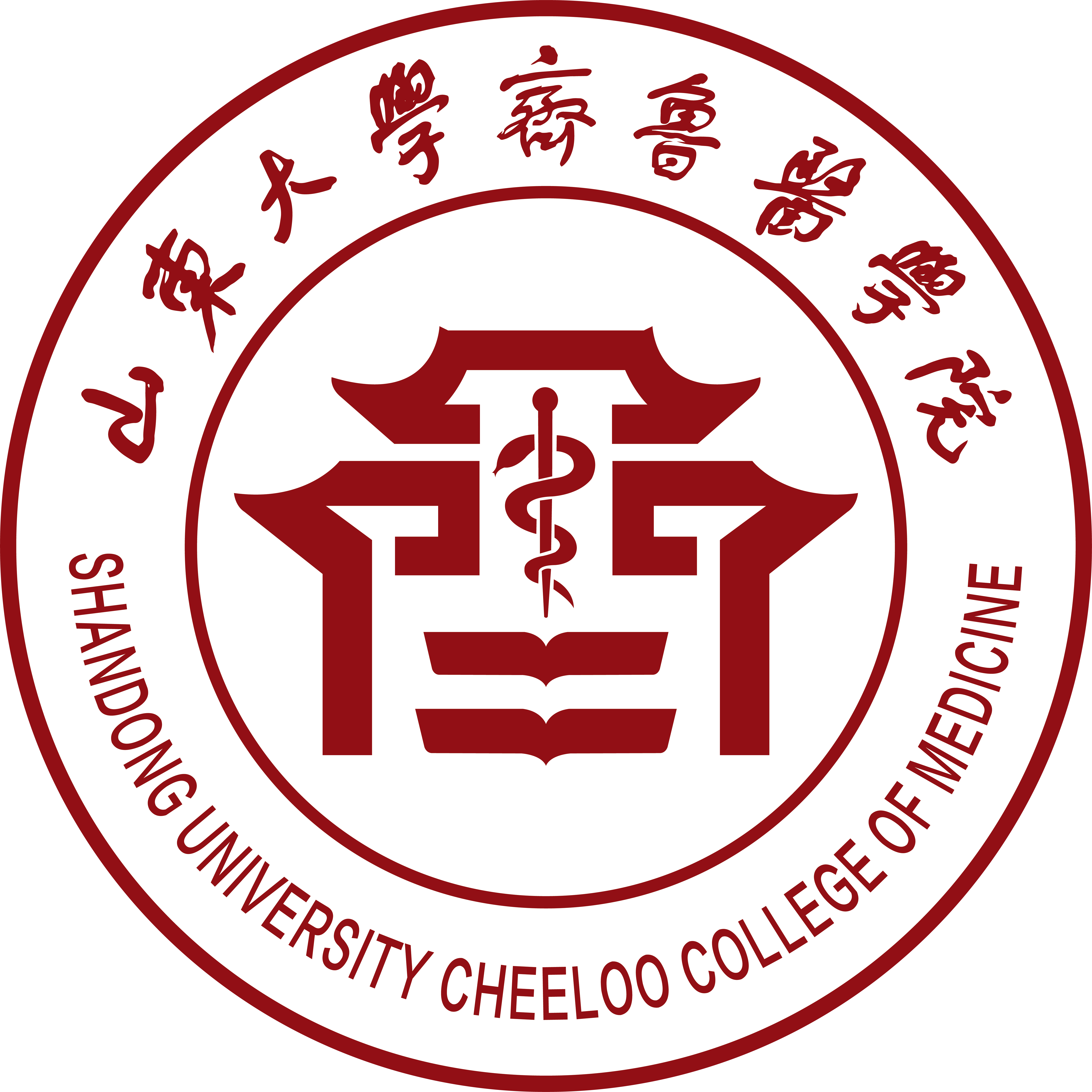 山东大学齐鲁医学院