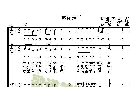 苏丽珂