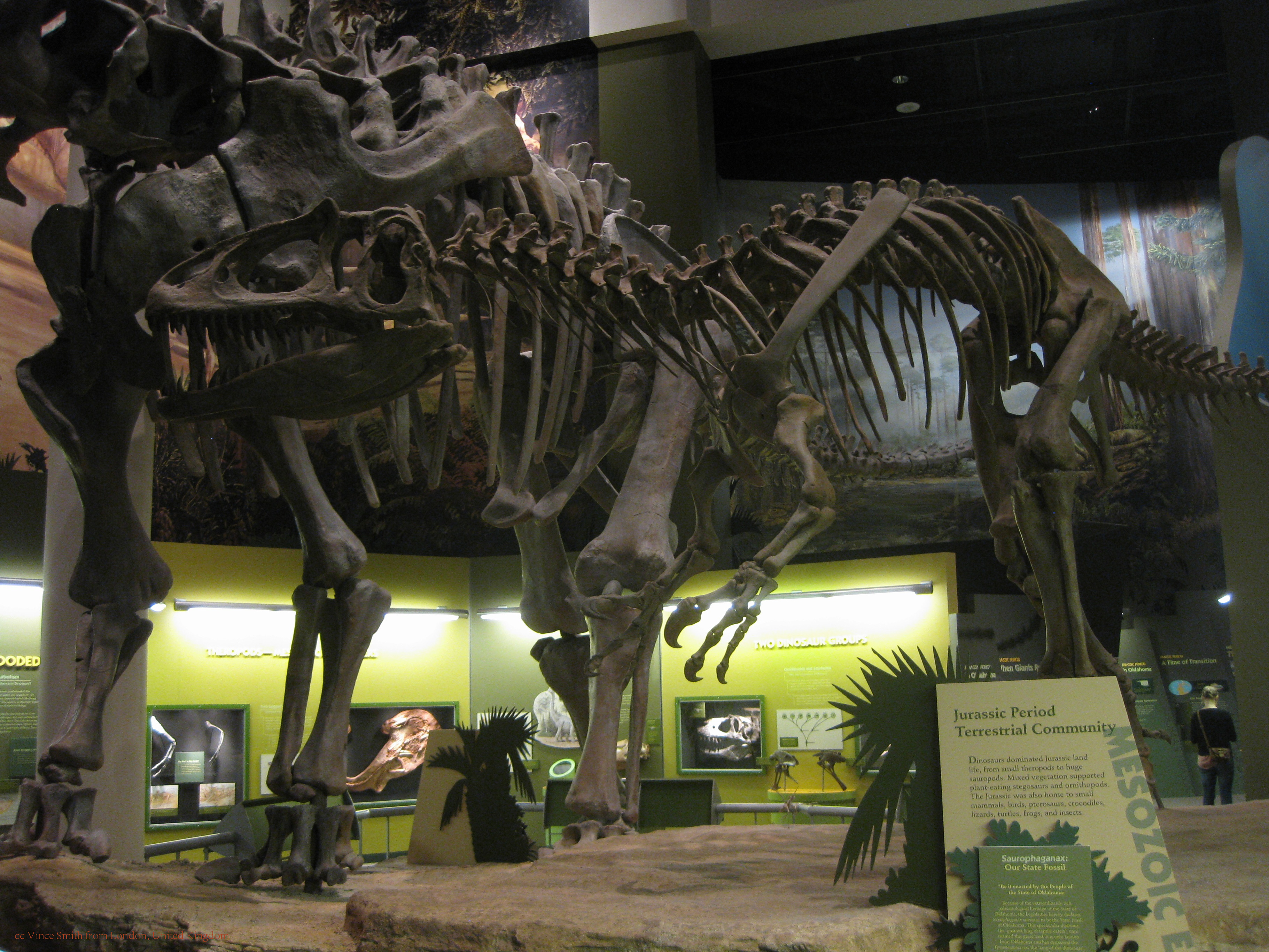  p data-id="go0aokpmhm">食蜥王龙是发现于北美洲晚侏罗世莫里逊组的