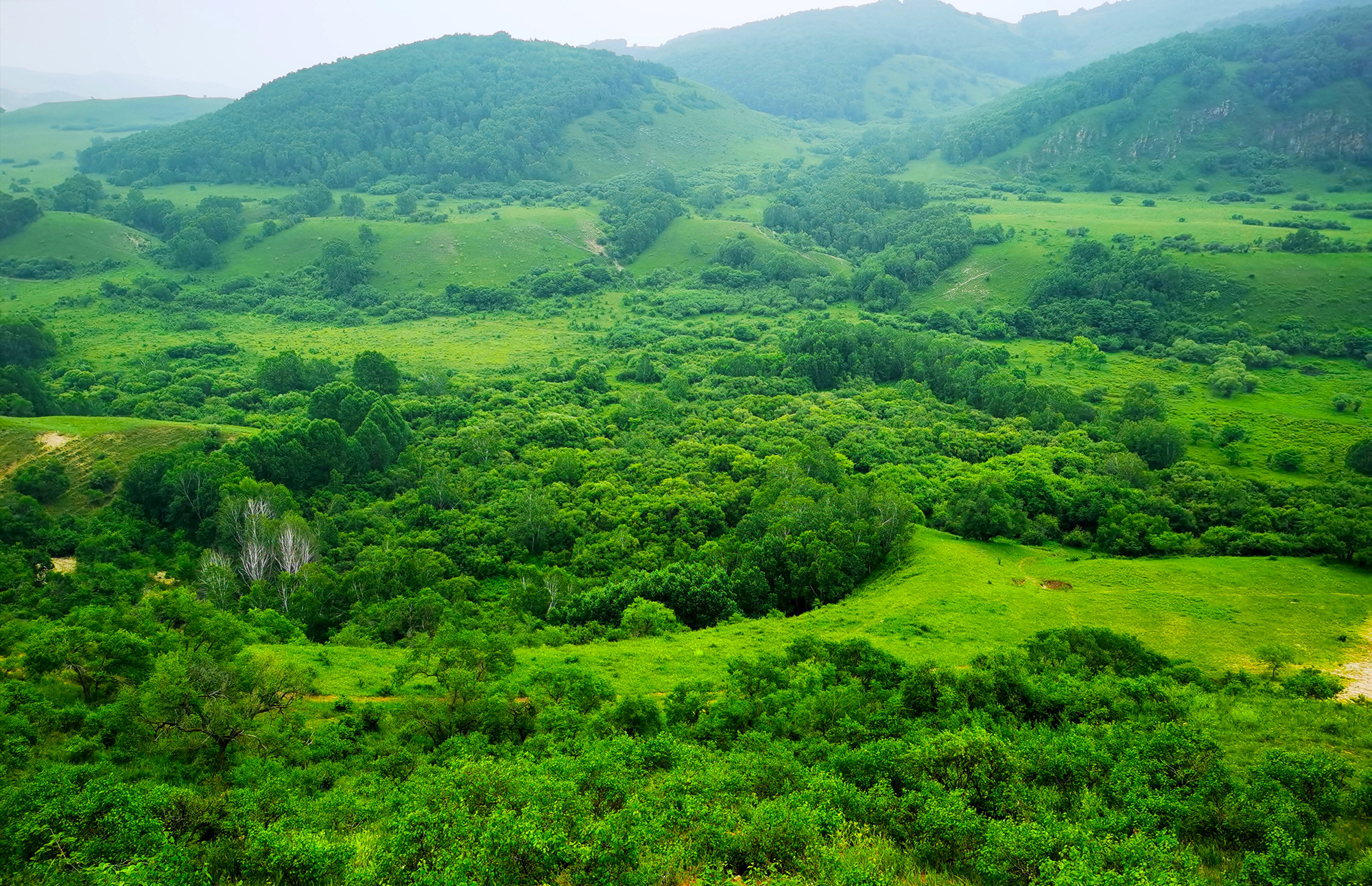 御道口草原风景区