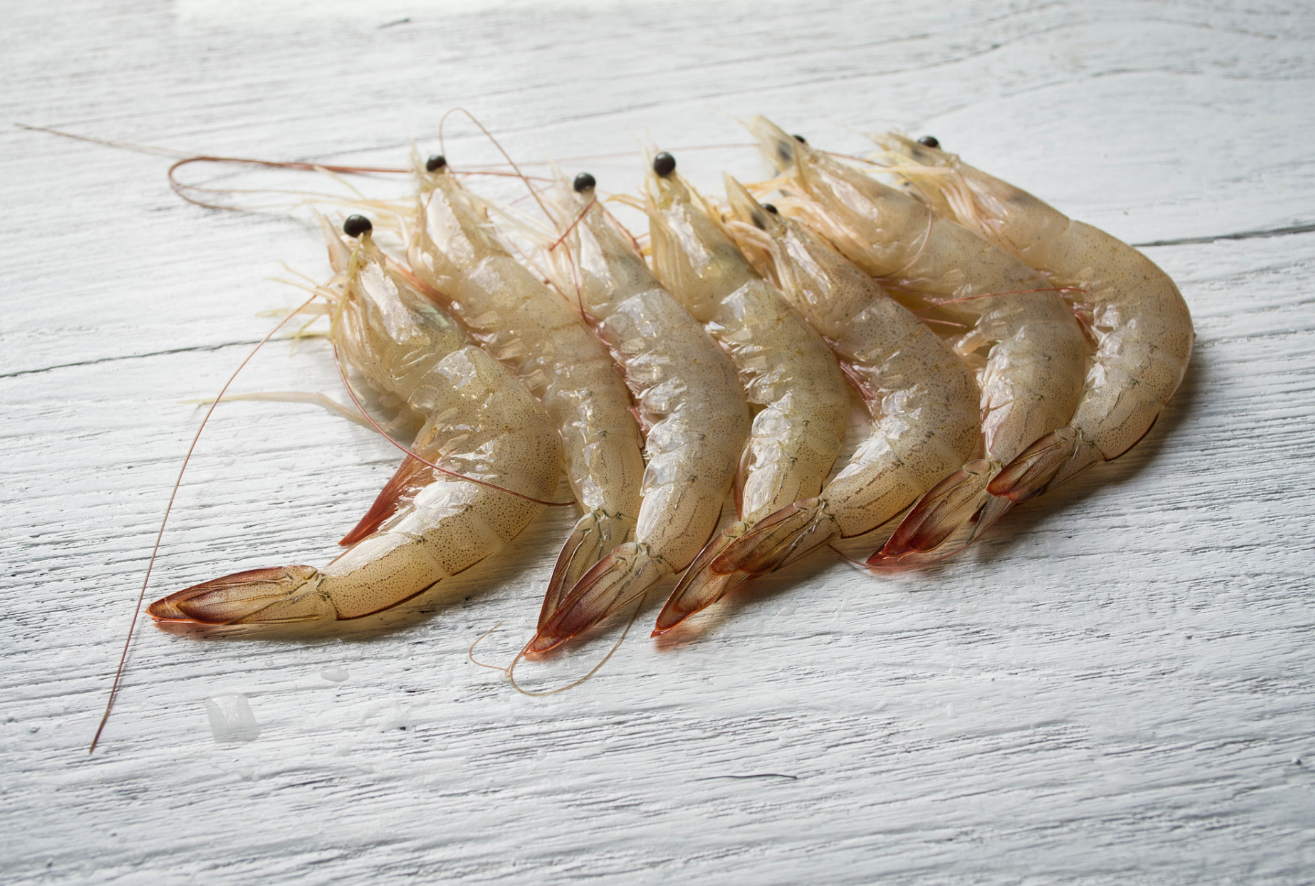 白虾