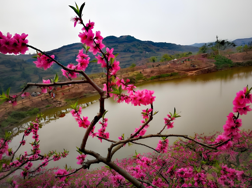 桃花山旅游风景区