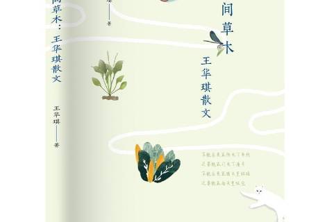 人间草木:王华琪散文