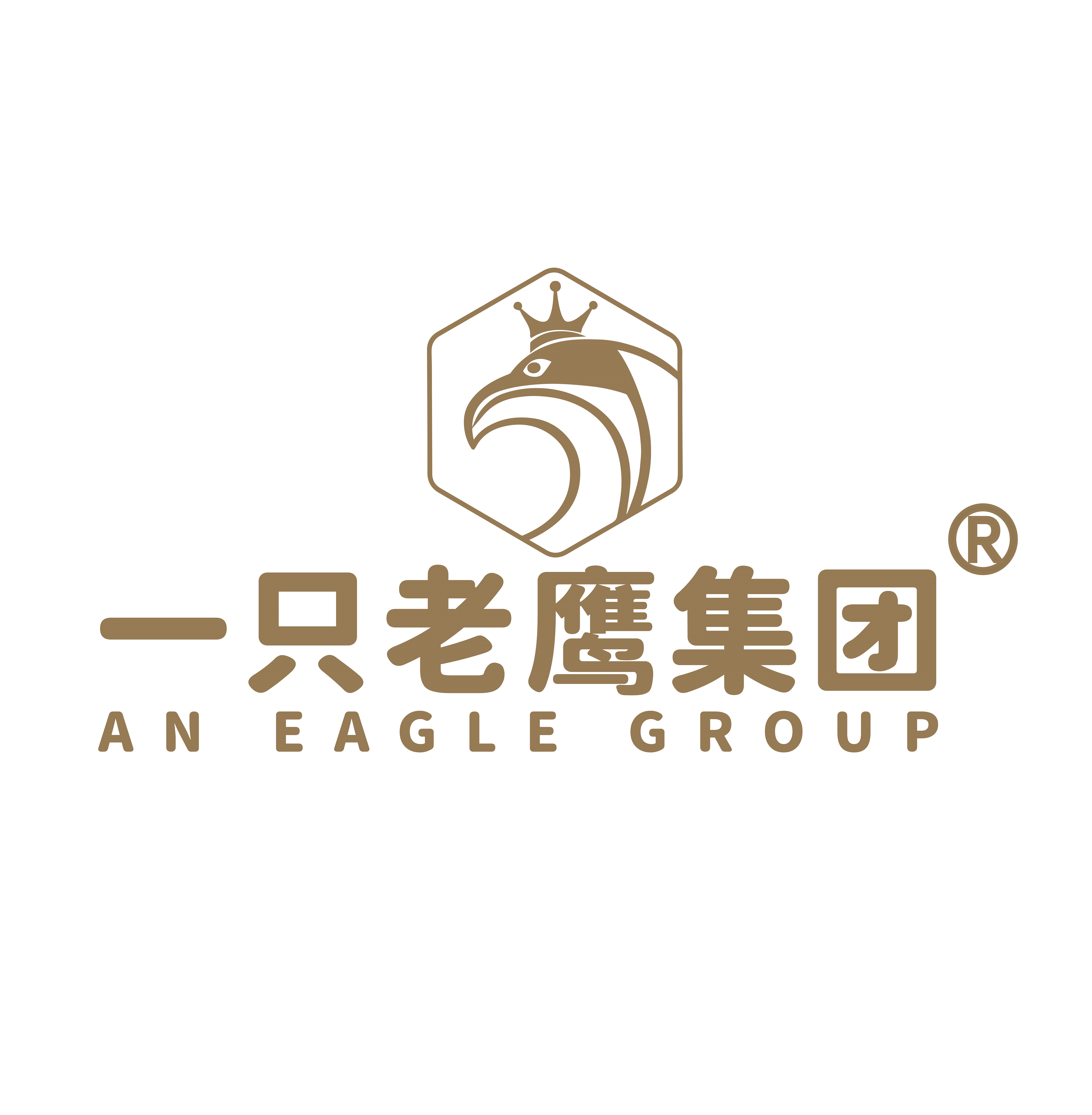 四川一只老鹰集团股份有限公司