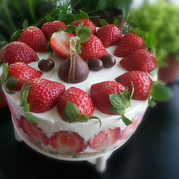 水果酸奶慕司蛋糕