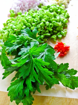 豆角大葱蒜头小辣椒和艾草