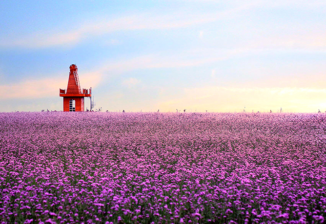  p>伊甸园景区位于江苏省 a target="_blank" href="/item/连云港