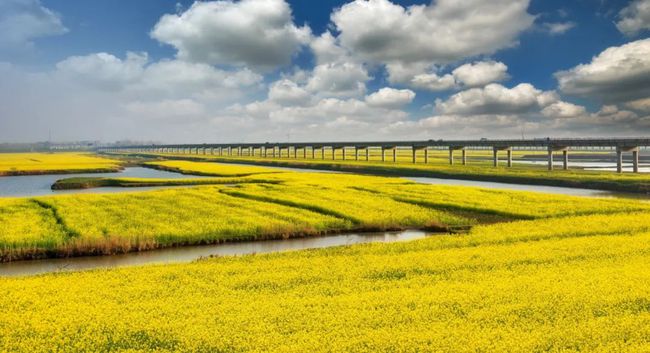 安徽阜南王家坝国家湿地公园