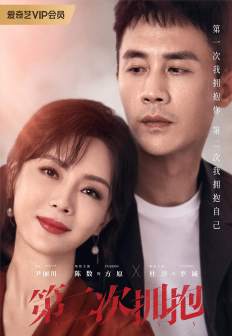 《第二次拥抱》海报