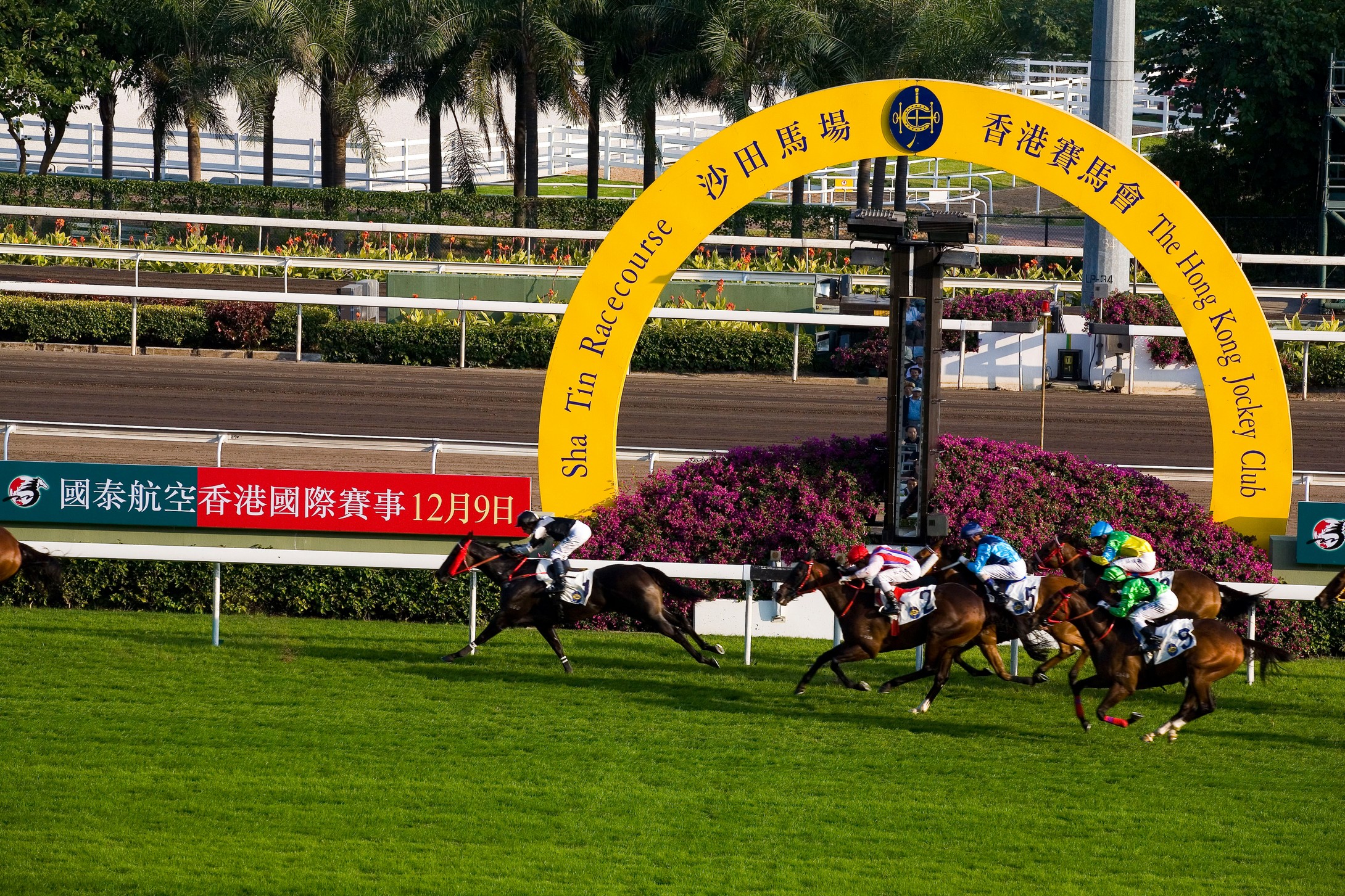 香港奥运赛马场