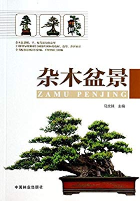 《杂木盆景》是2014年中国林业出版社出版的图书,作者是马文其