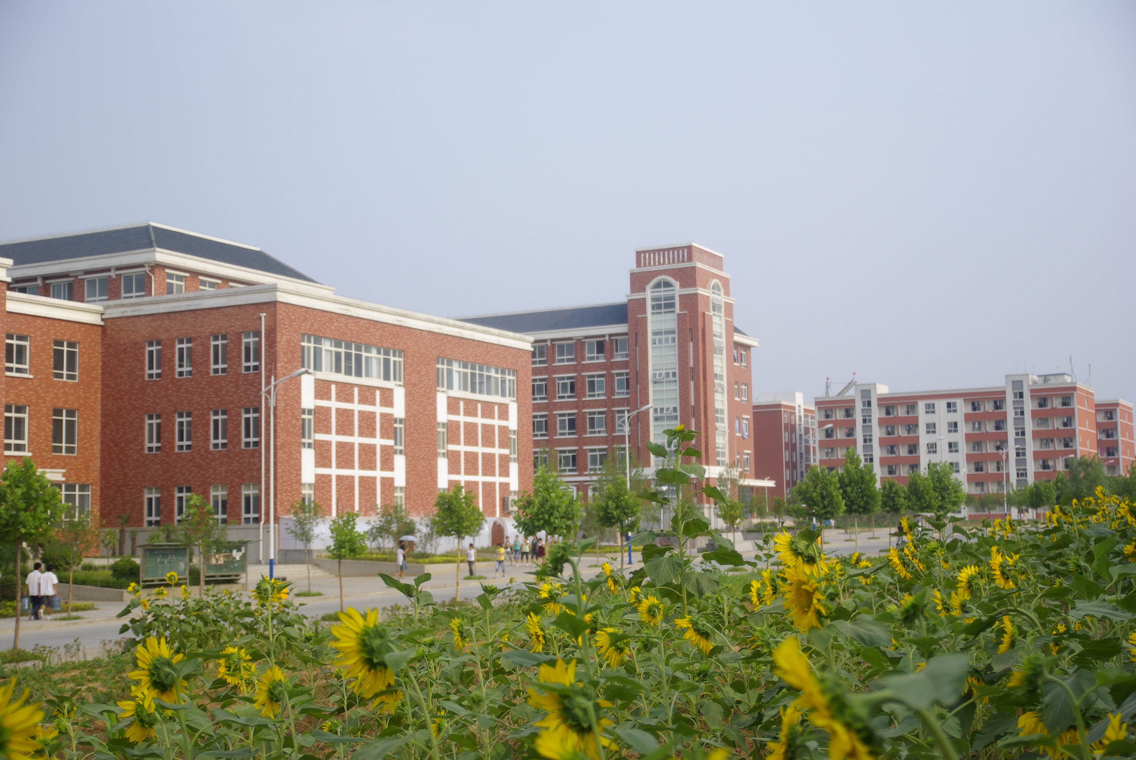 河南建筑职业技术学院