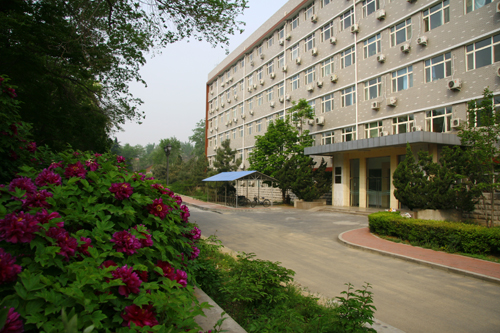 中国林业科学研究院林业科技信息研究所