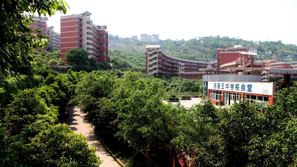 ="_blank" href="/item/涪陵区">涪陵区 /a>,是四川省首批重点中学