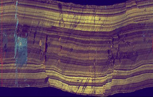  p>是指含有油气的 a href="#">储集层 /a>. /p>