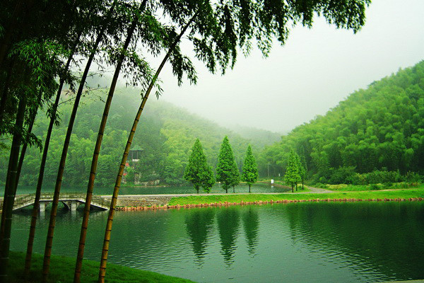 data-id="gnwnkcq6ww">竹海,由漫无边际的竹林组成,四周青山环抱,湖水