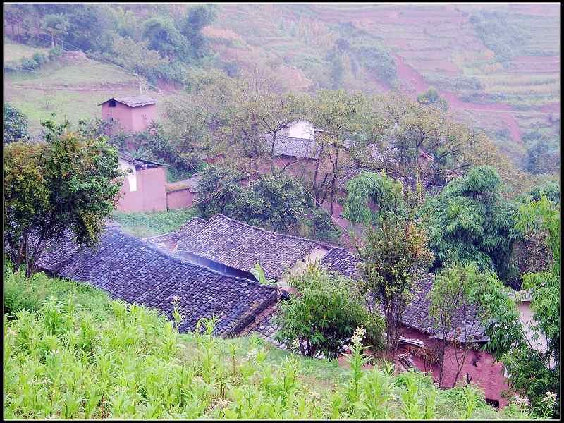  p data-id="gn91ojew86">梨树庄村,云南省大理州弥渡县牛街乡下辖村.