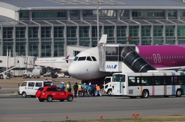 乐桃航空