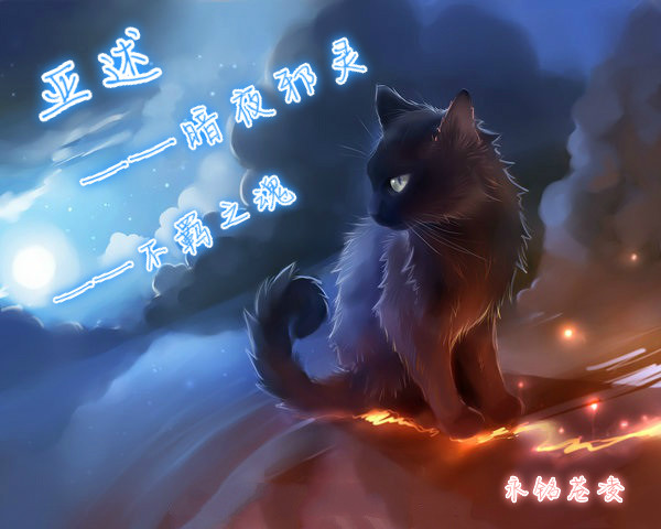 猫武士战斗星域吧