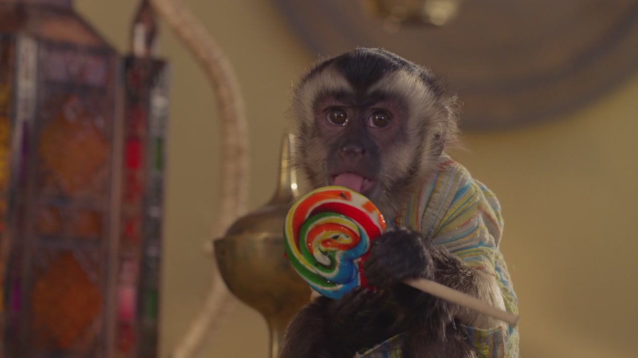  p>《护宝狗狗》是由 a>罗伯特·文斯 /a>执导的一部喜剧片.