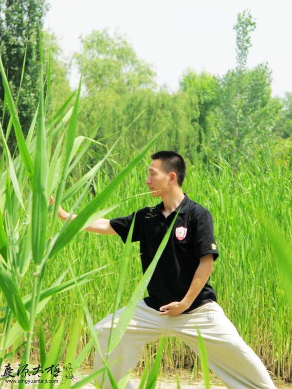 ">陈家沟 /a>,由陈王庭所制,由其陈发科本人修改,其子陈照奎定型的