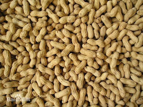 花生果 百度百科