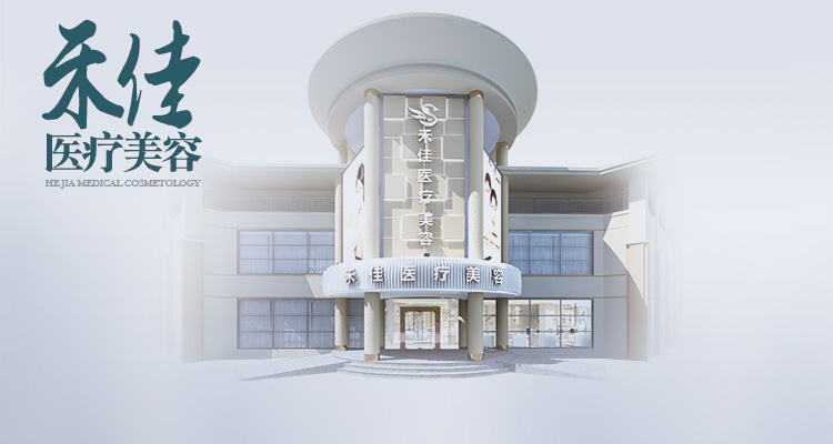 中山市禾佳医疗美容门诊有限公司